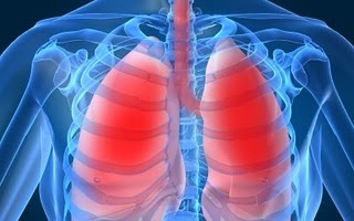 Felgyorsítják a tüdőrák növekedését az antioxidánsok?