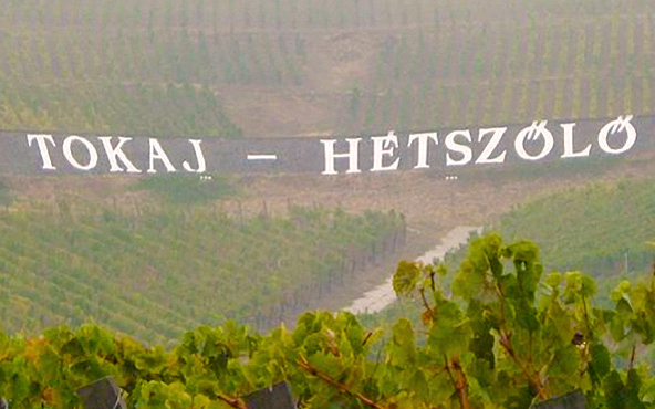 Október közepén indul a nagyszüret Tokaj-Hegyalján