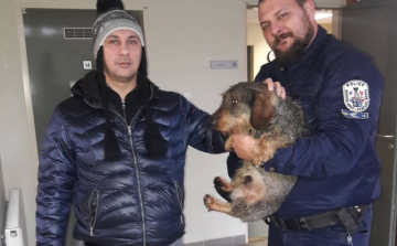 Tacskót mentettek a jeges Tiszából