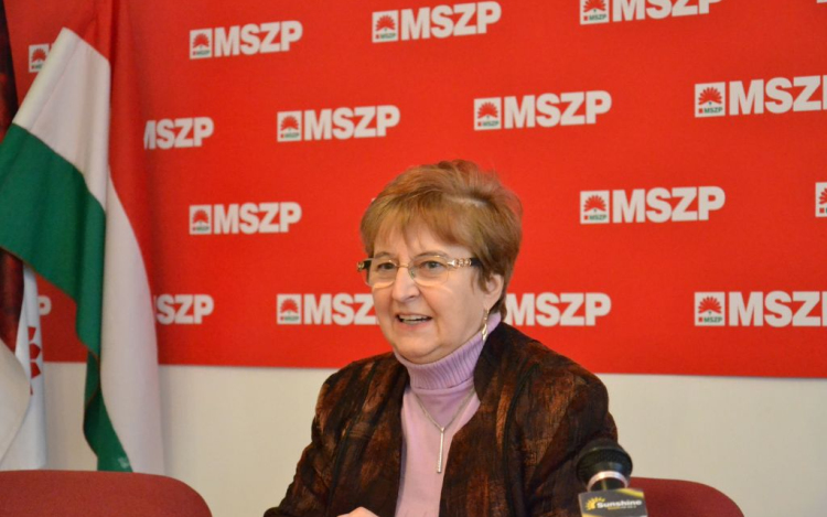 Az Egészségügyi Holding eredményeire kíváncsi az MSZP