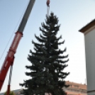 Felállították Nyíregyháza karácsonyfáját