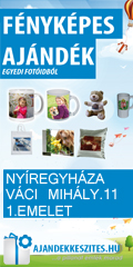 adathordozok.hu 120x240 banner